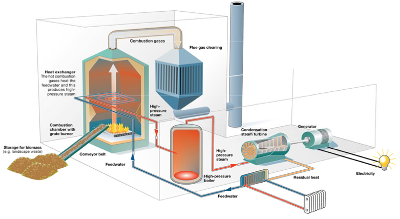 Process of Converting Biomass into Electricity